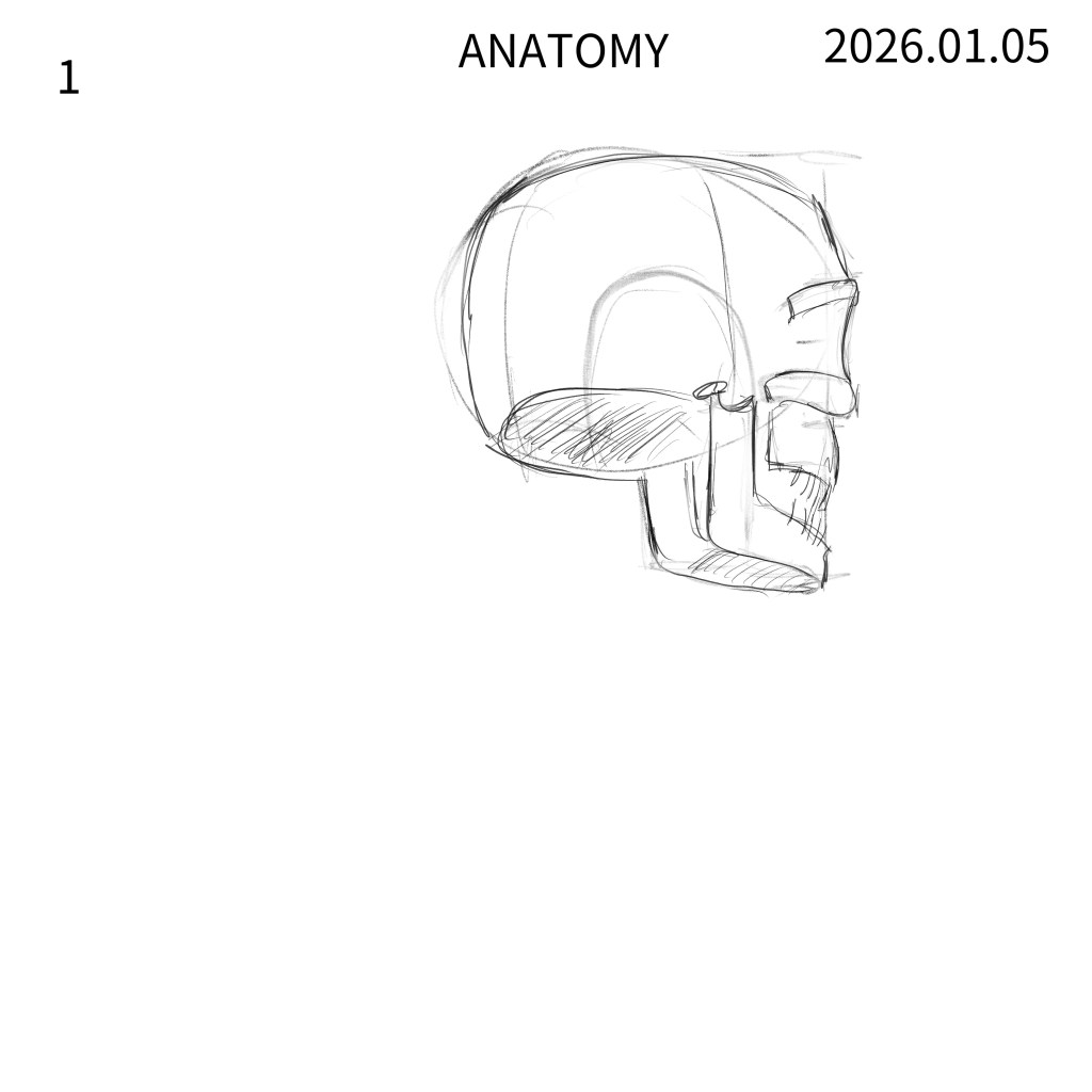 20260105_UDEMY1_M3X1
